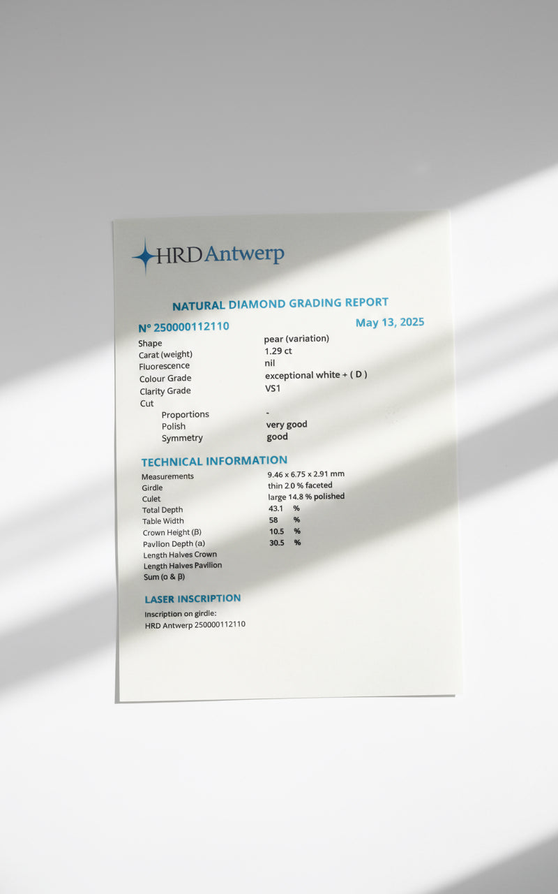 Pendentif Or blanc et Diamants - Époque 1900