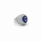 Bague - Or blanc - Tanzanite 4,63 carats - Diamants 2,20 carats